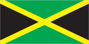 The diagonal yellow cross divides the flag into four triangles - green (top and bottom) and black (hoist side and outer side); green represents hope, vegetation, and agriculture, black reflects hardships overcome and to be faced, and yellow recalls golden sunshine and the island's natural resources. (Taken from CIA website)